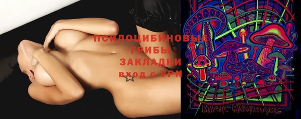 прущие грибы Верхнеуральск