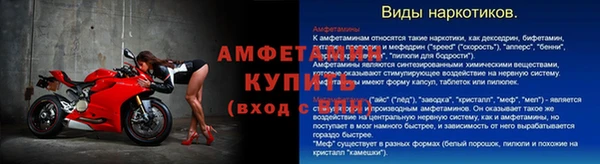 прущие грибы Верхнеуральск