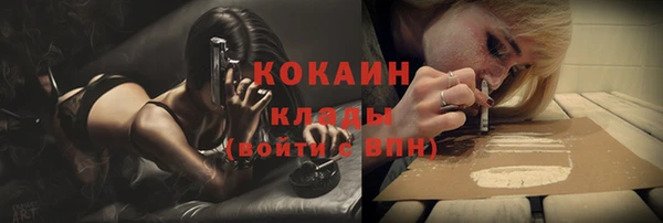 прущие грибы Верхнеуральск
