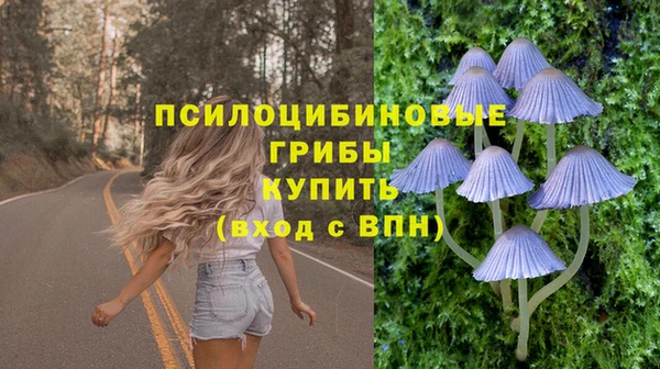 MDMA Верхний Тагил