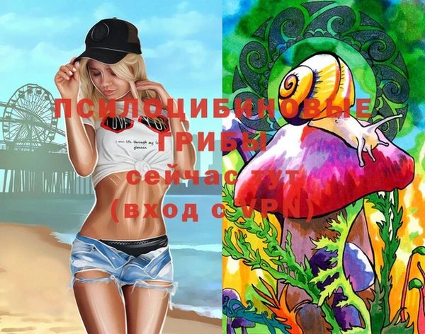 прущие грибы Верхнеуральск