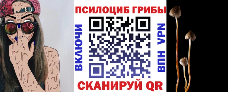 наркота  ОМГ ОМГ зеркало  Галлюциногенные грибы MAGIC MUSHROOMS  Артём 